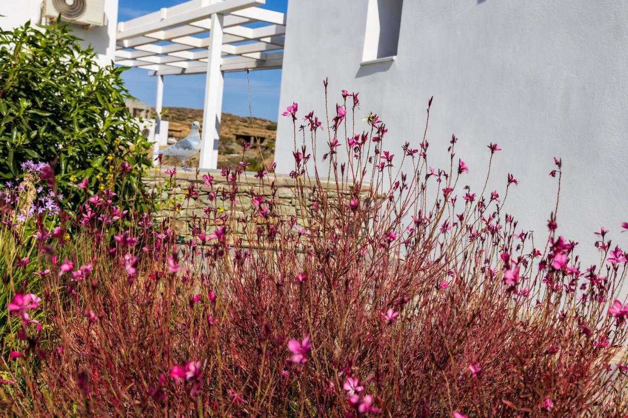 Apartment Resort Sifnos ファロス エクステリア 写真